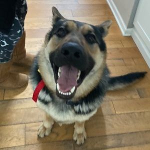 Meet your Posher, Nicholas